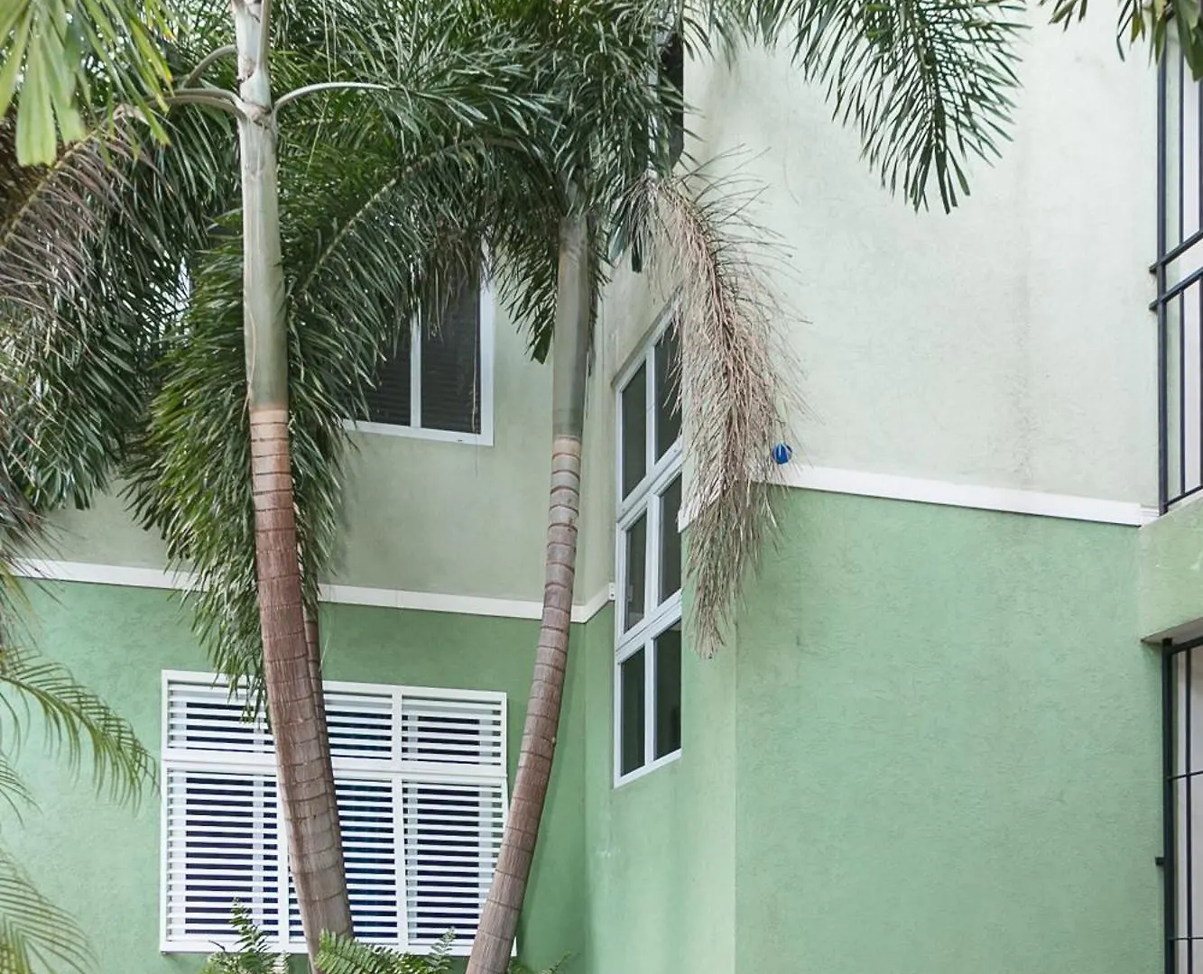 Apartment Chic Haven Studio In Kingston Jamaica